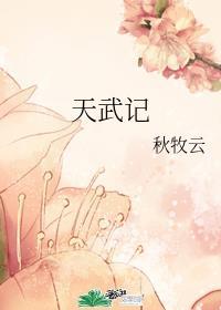 天武记
